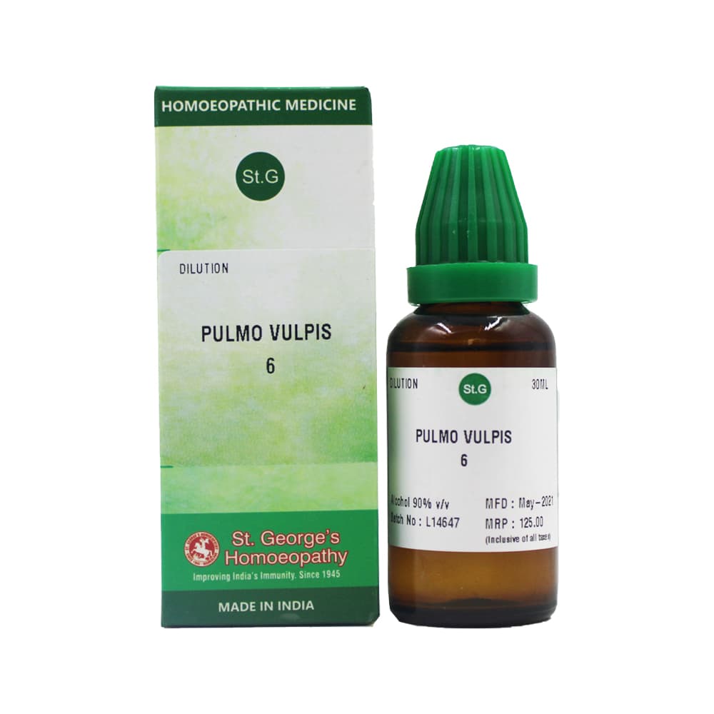 Pulmo Vulpis