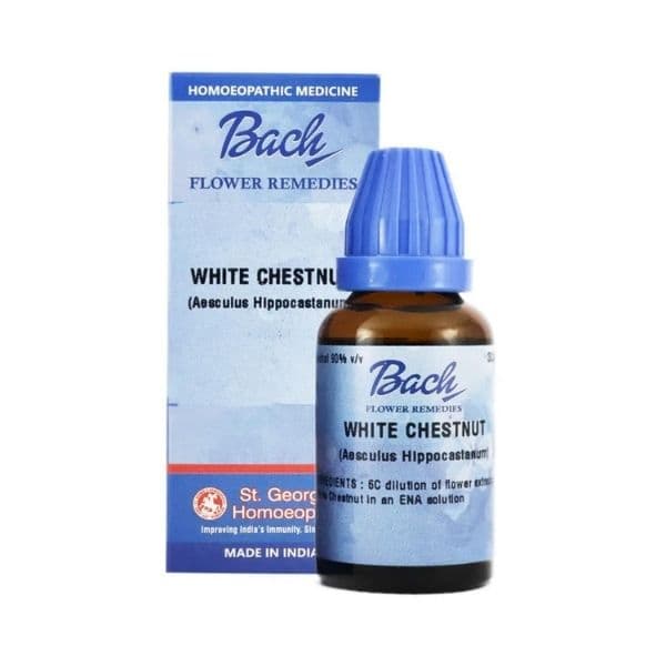 White Chestnut