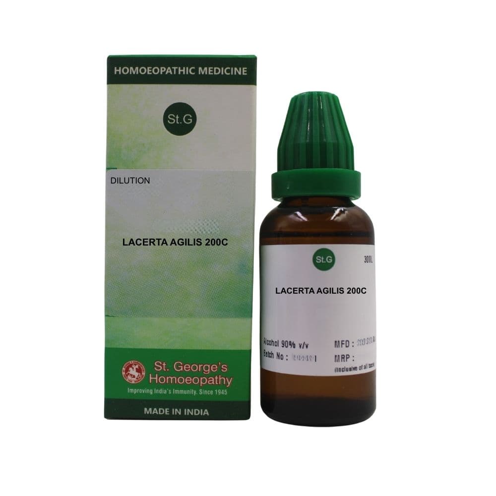 Lacerta Agilis