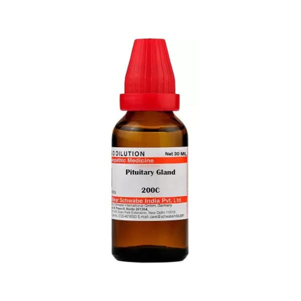 Pituitary Gland