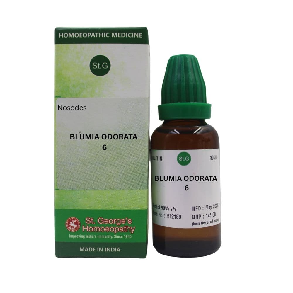 Blumia Odorata