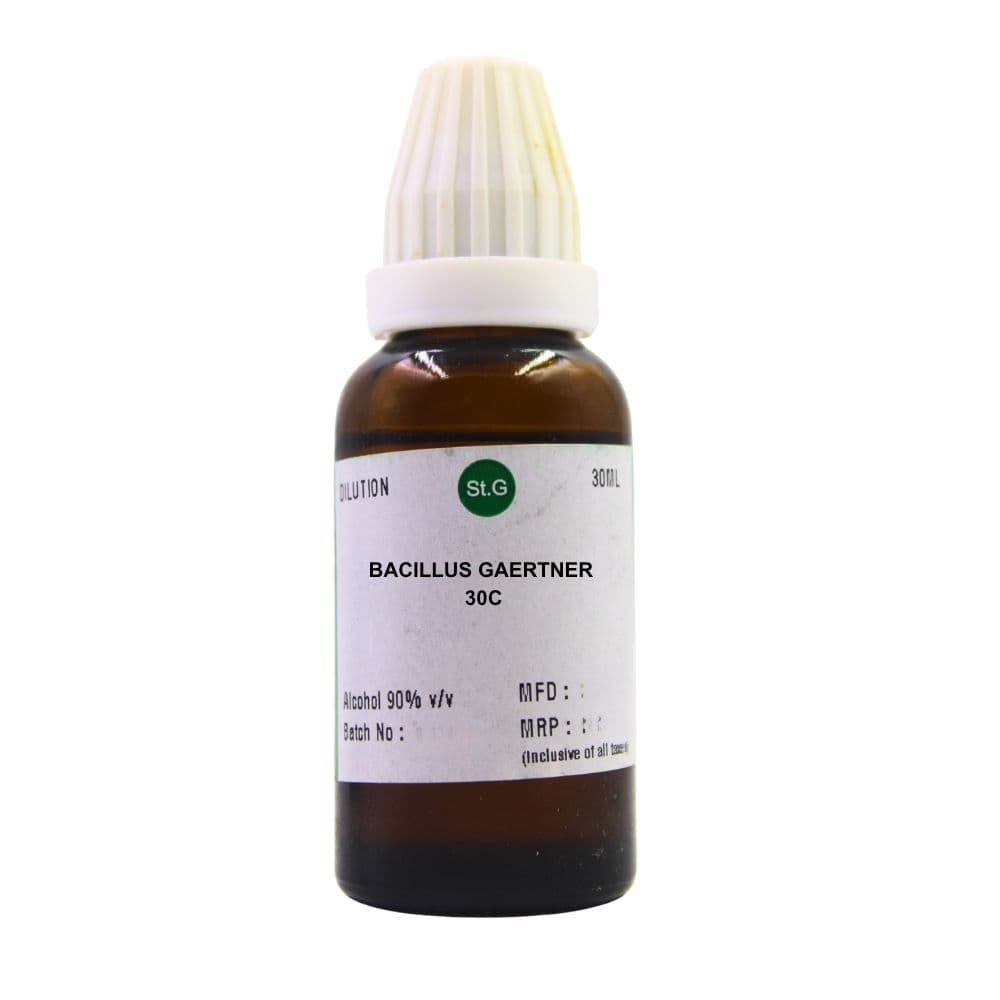 Bacillus Gaertner